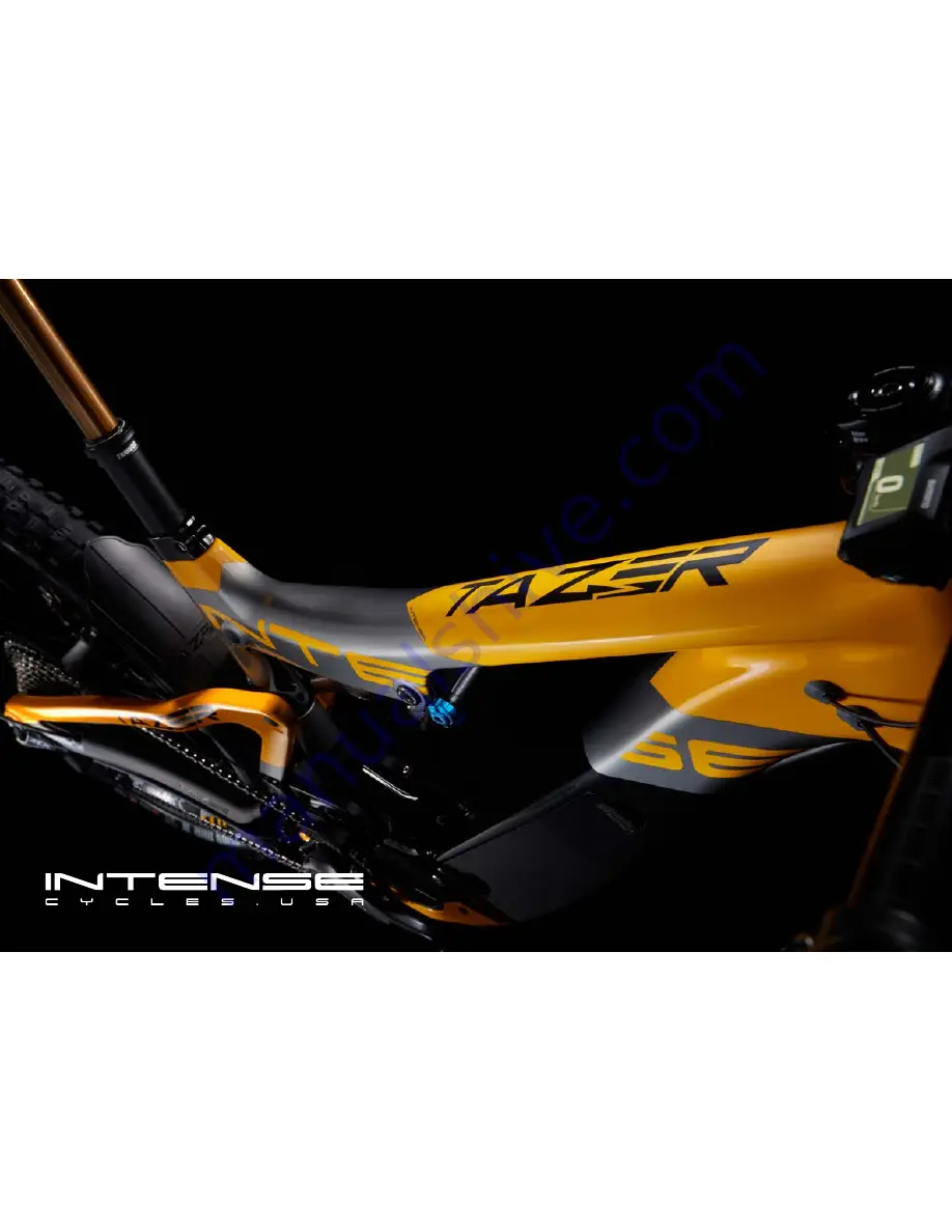 Intense Cycles TAZER Скачать руководство пользователя страница 1