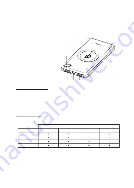 Intenso WPD10000 User Manual Download Page 14