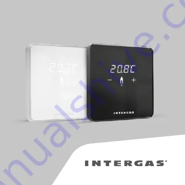 Intergas 030004 Installation Manual & Users Manual Download Page 1