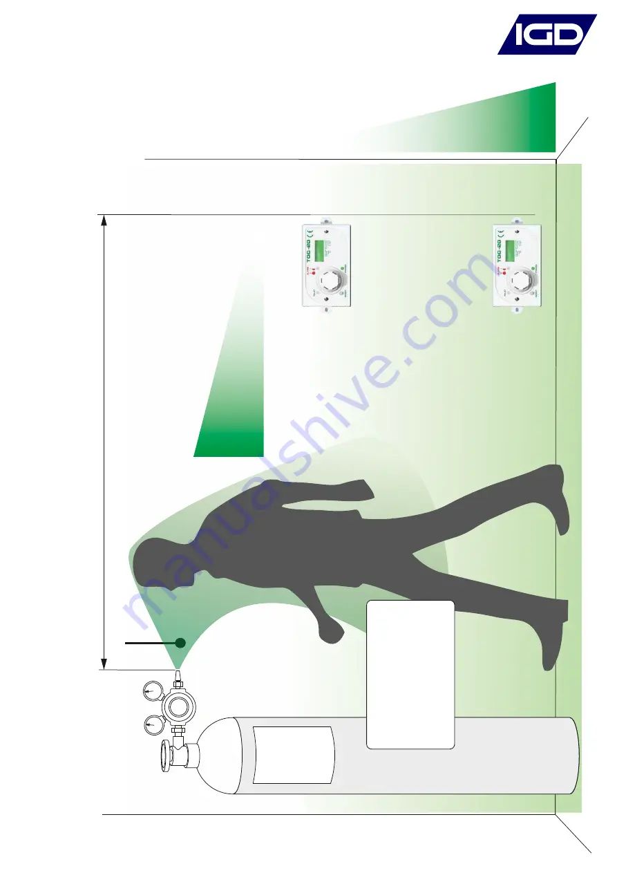 International Gas Detectors TOC-635 Скачать руководство пользователя страница 12