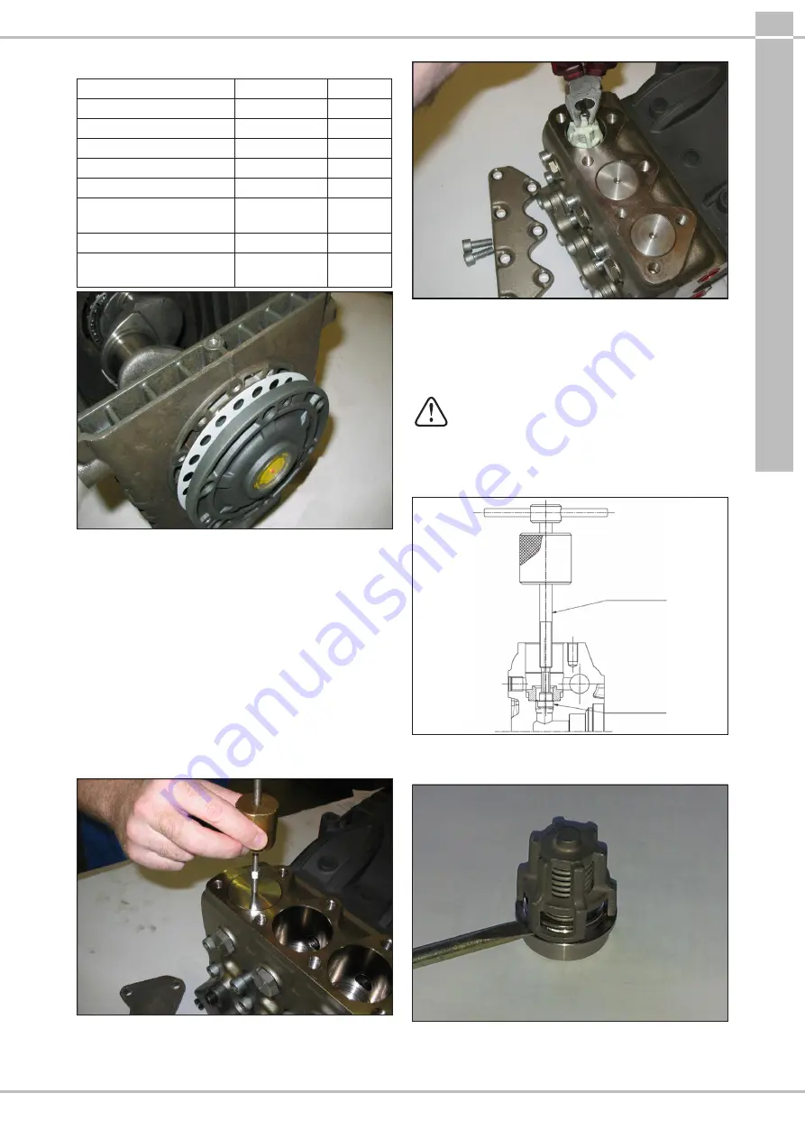 Interpump 70 HT Series Скачать руководство пользователя страница 19