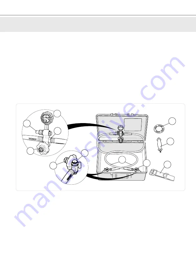 INTERSPIRO Divator DP1 Скачать руководство пользователя страница 10