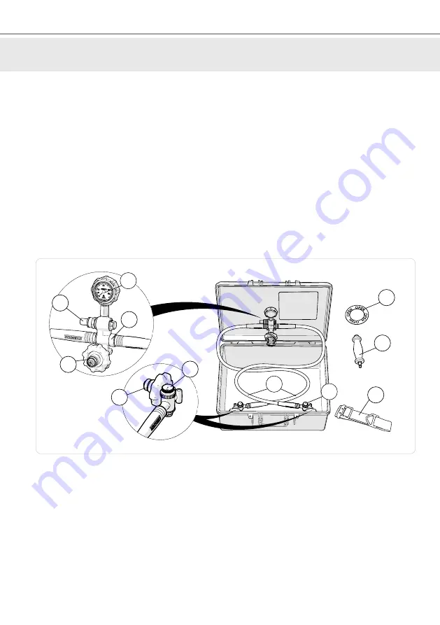 INTERSPIRO Divator DP1 User Manual Download Page 30