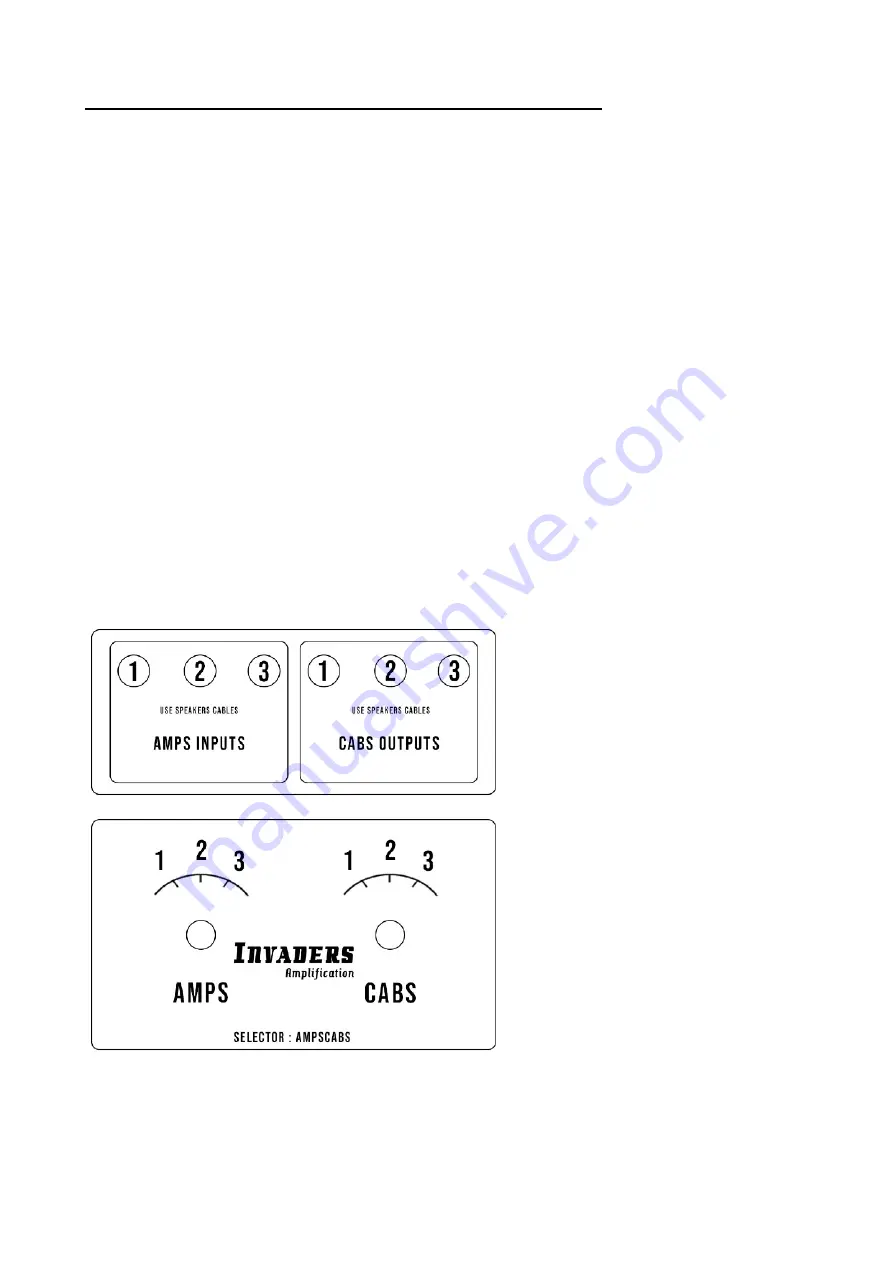 INVADERS Amplification AmpsCabs Owner'S Manual Download Page 3