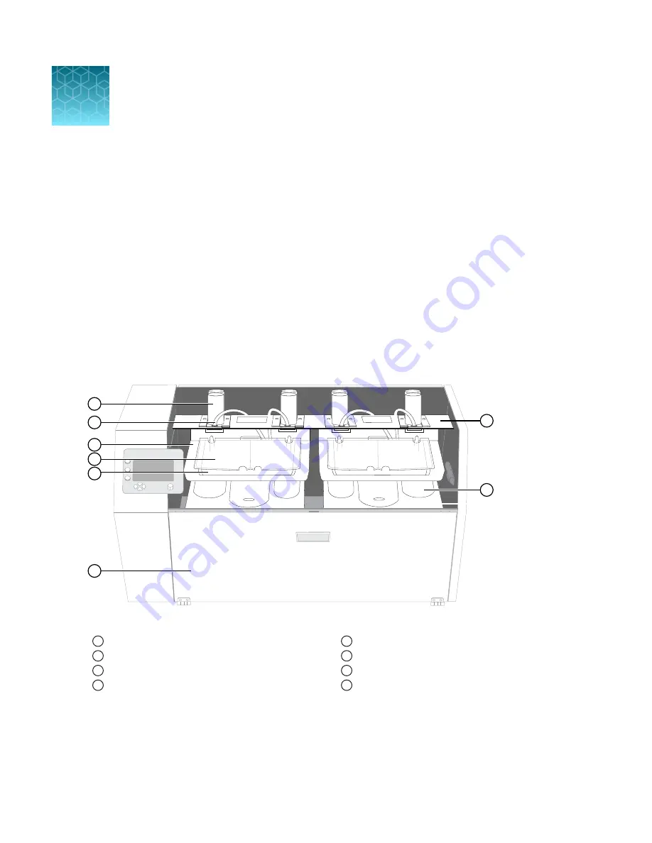 Invitrogen Bandmate MAN0018722 Скачать руководство пользователя страница 4