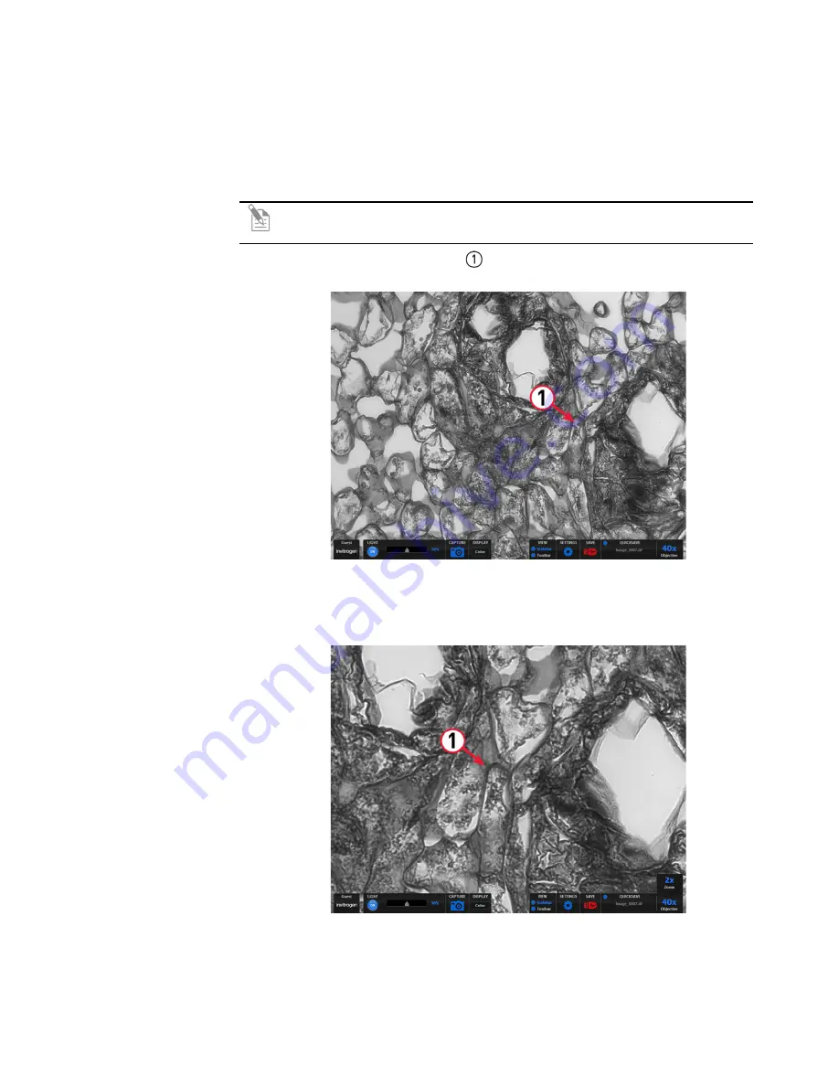 Invitrogen EVOS XL User Manual Download Page 27