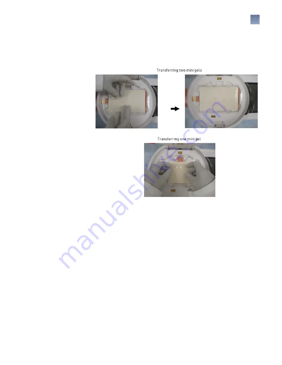 Invitrogen iBlot 2 User Manual Download Page 31