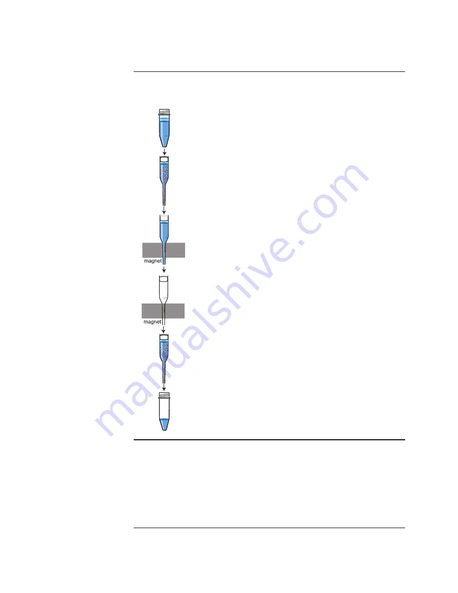 Invitrogen iPrep Скачать руководство пользователя страница 28