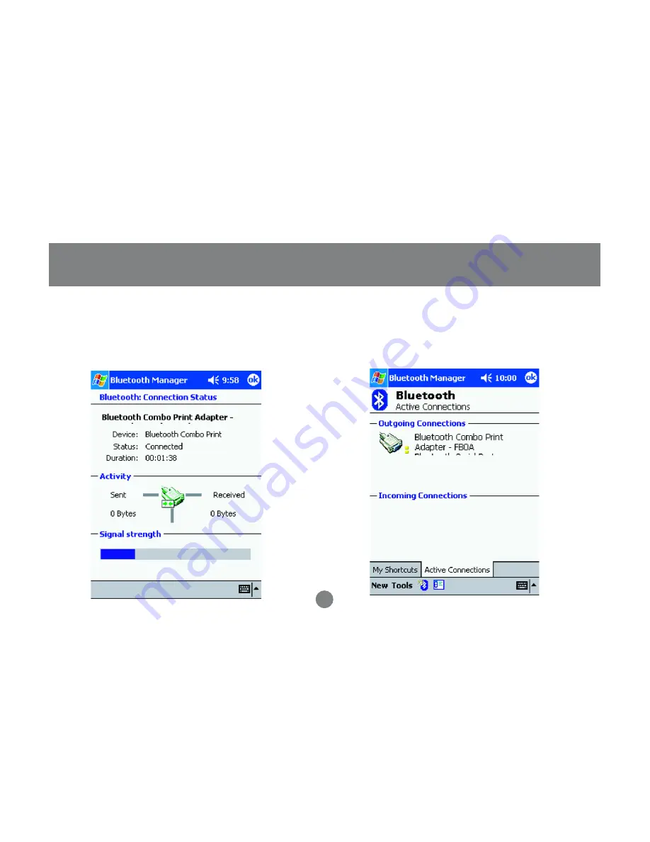 IOGear GBP301 User Manual Download Page 31