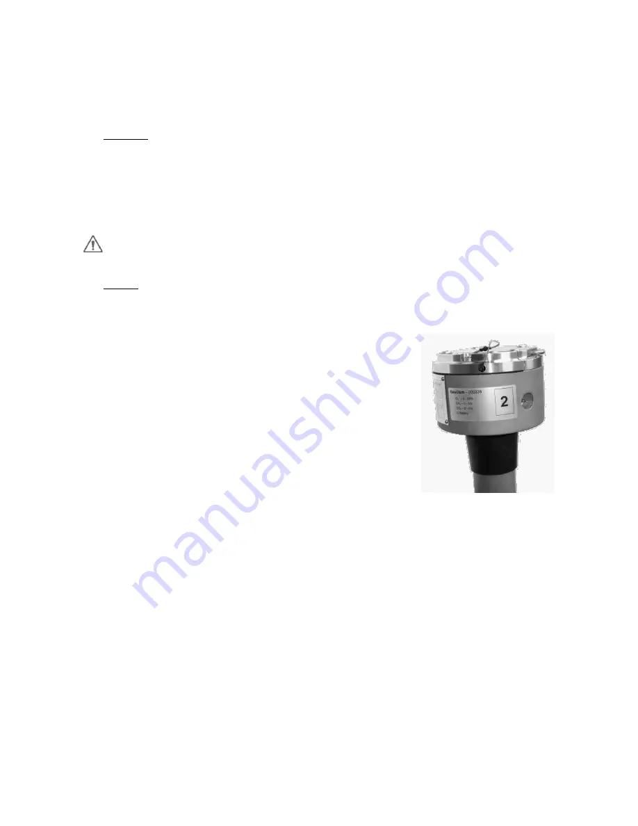 ion science GASCLAM 2 Instrument User Manual Download Page 13