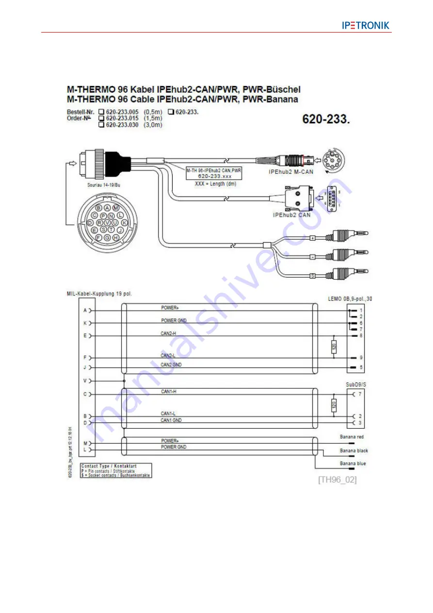 IPETRONIK M-THERMO 96 Hardware Manual Download Page 6