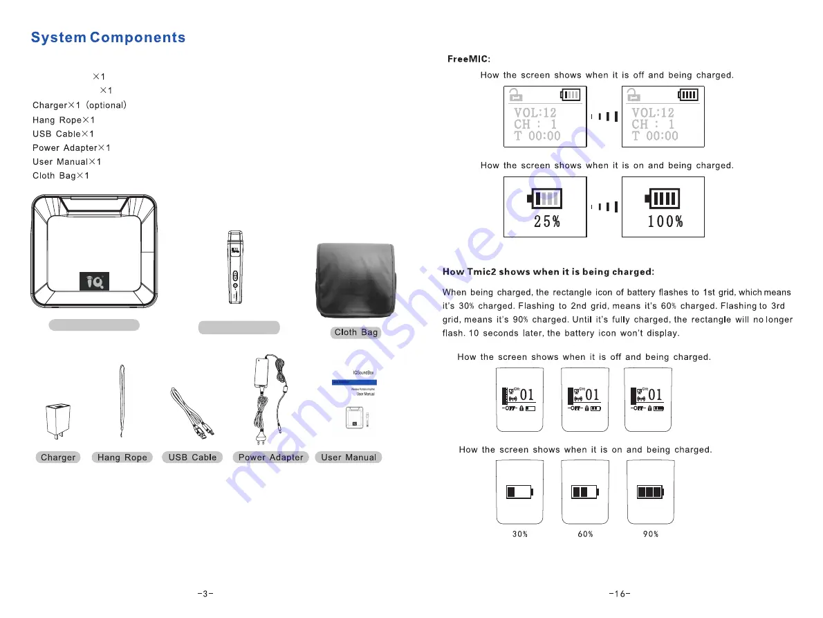 IQBoard IQSoundBox Скачать руководство пользователя страница 4