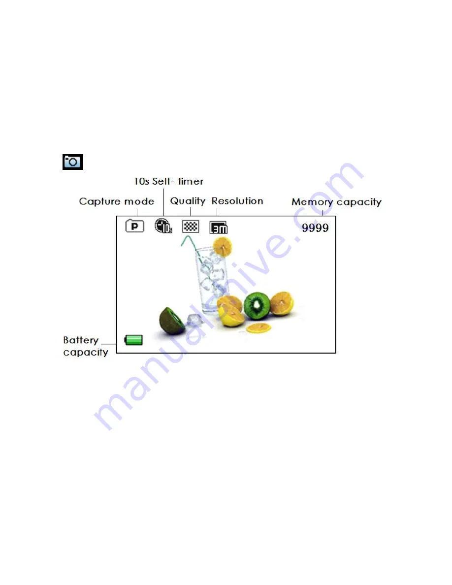 iShare S10W User Manual Download Page 13