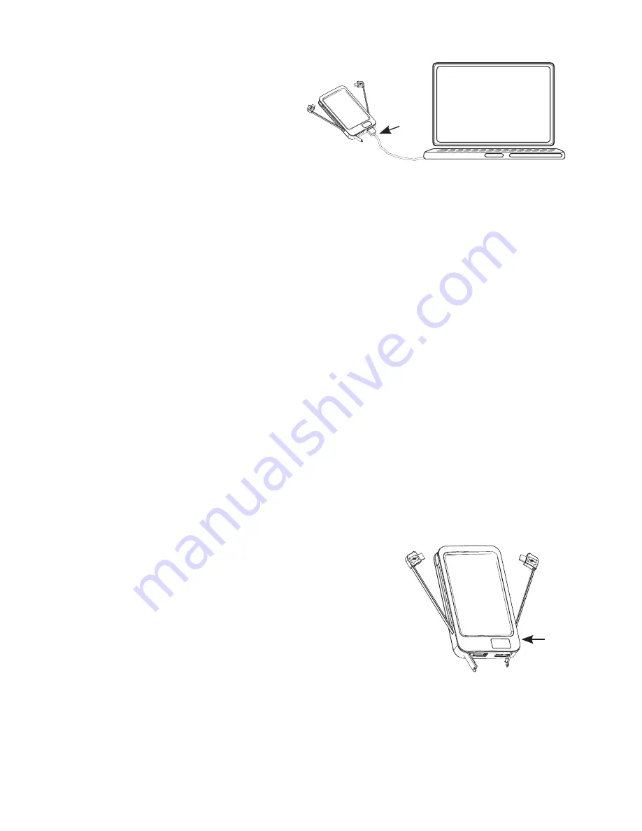 iSIS FL5100 User Manual Download Page 3