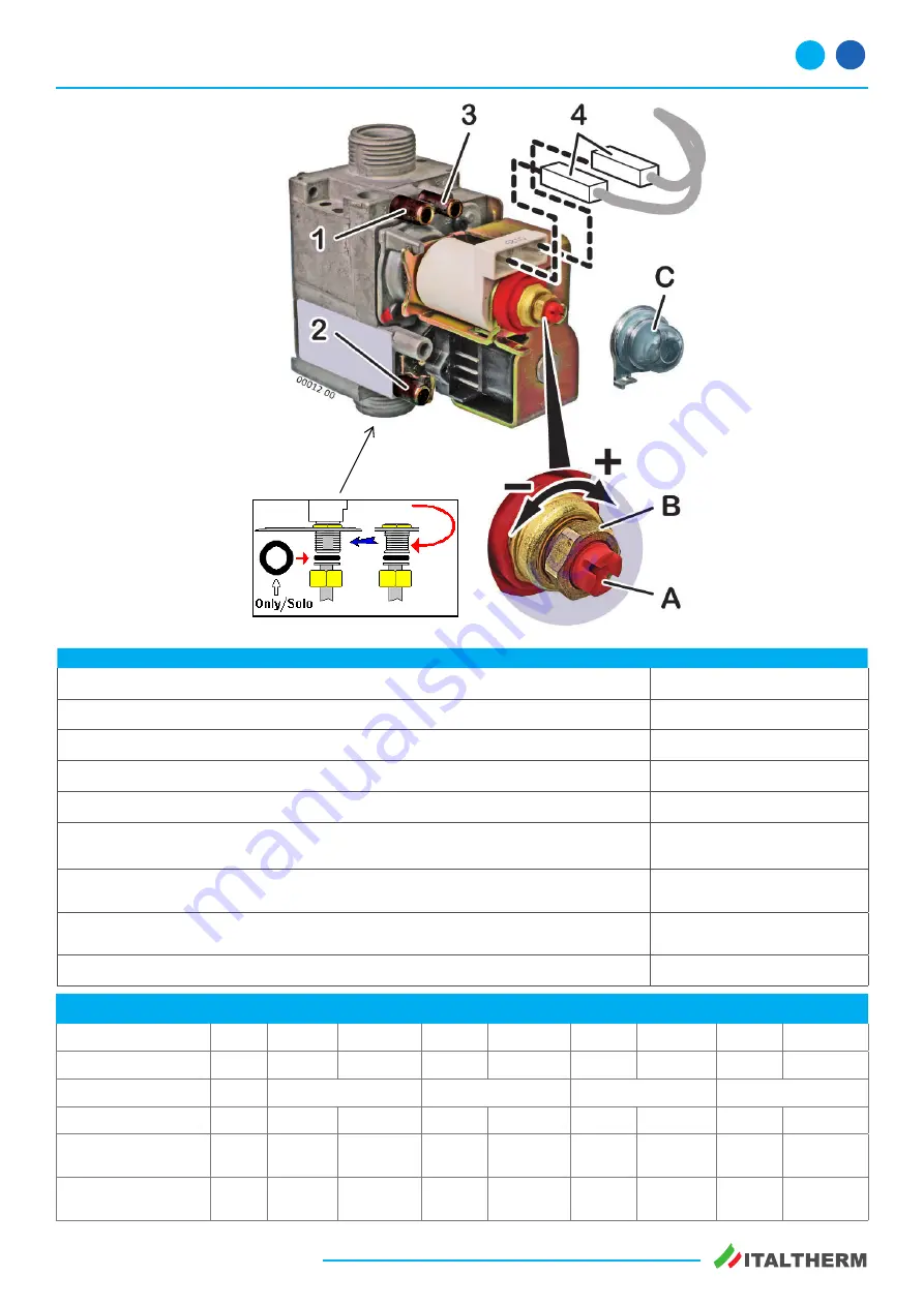 Italtherm CITY CLASS 20 F Service Manual Download Page 22