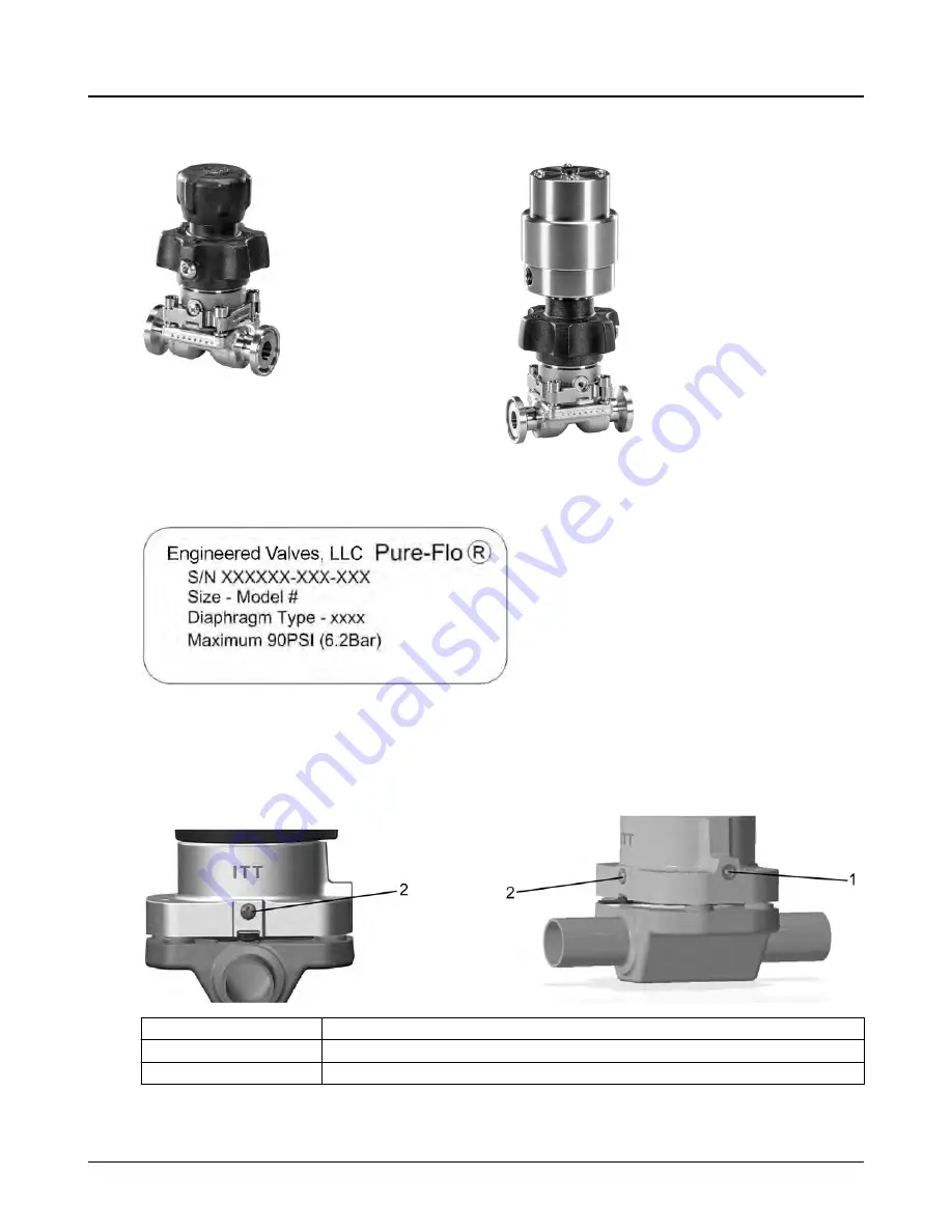 ITT Engineered Valves BioviZion Скачать руководство пользователя страница 9