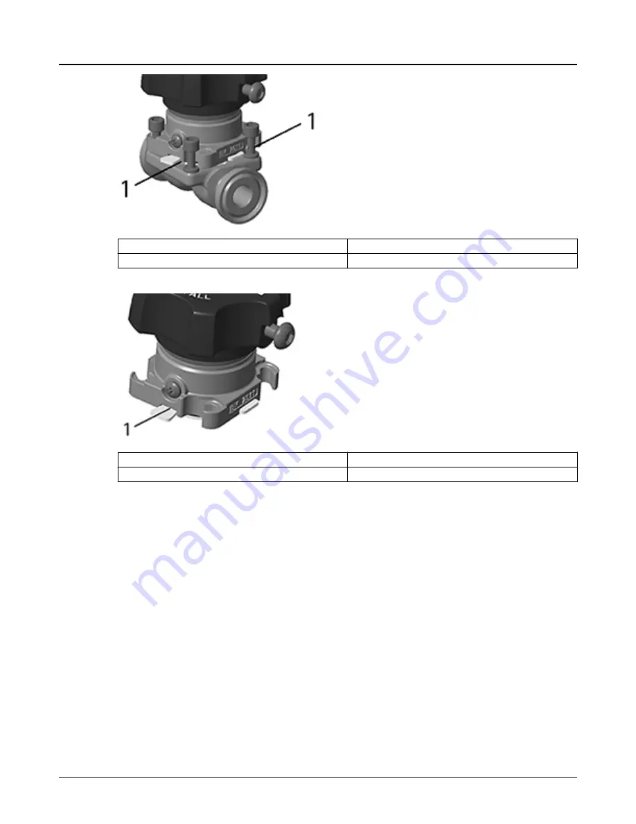 ITT Engineered Valves BioviZion Скачать руководство пользователя страница 15