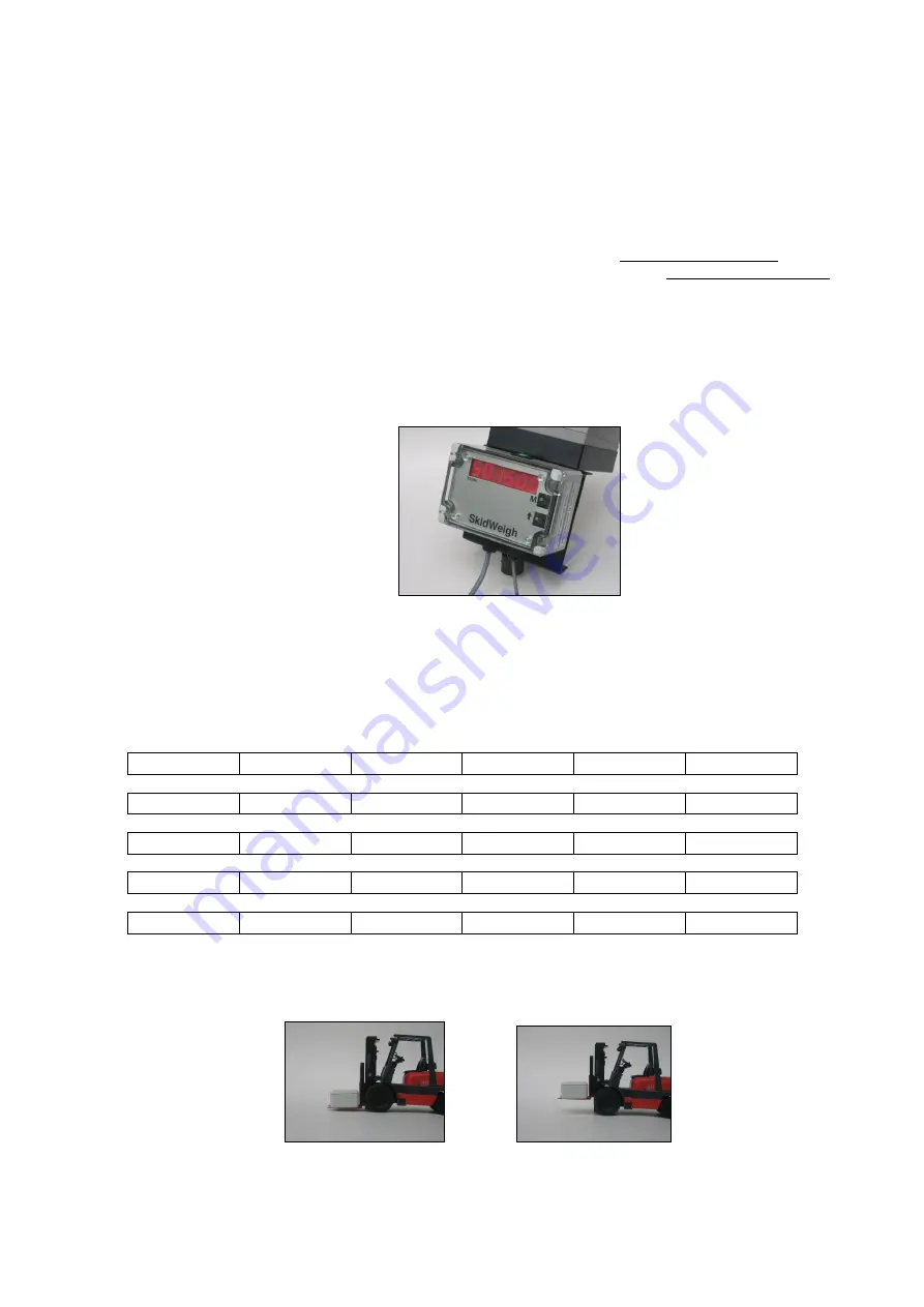 IVDT SkidWeigh ED2-CC Series Скачать руководство пользователя страница 8