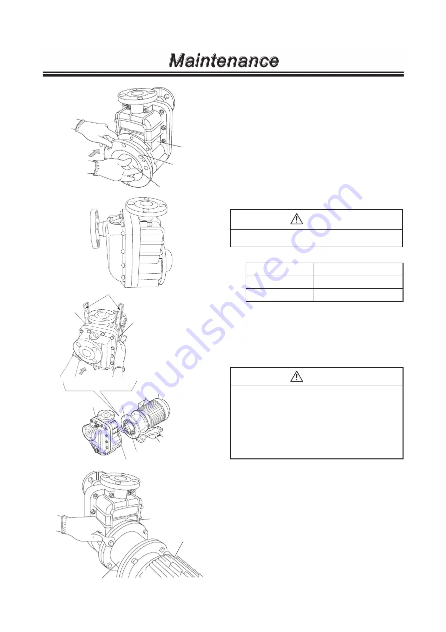 IWAKI PUMPS SMX-F Series Instruction Manual Download Page 41