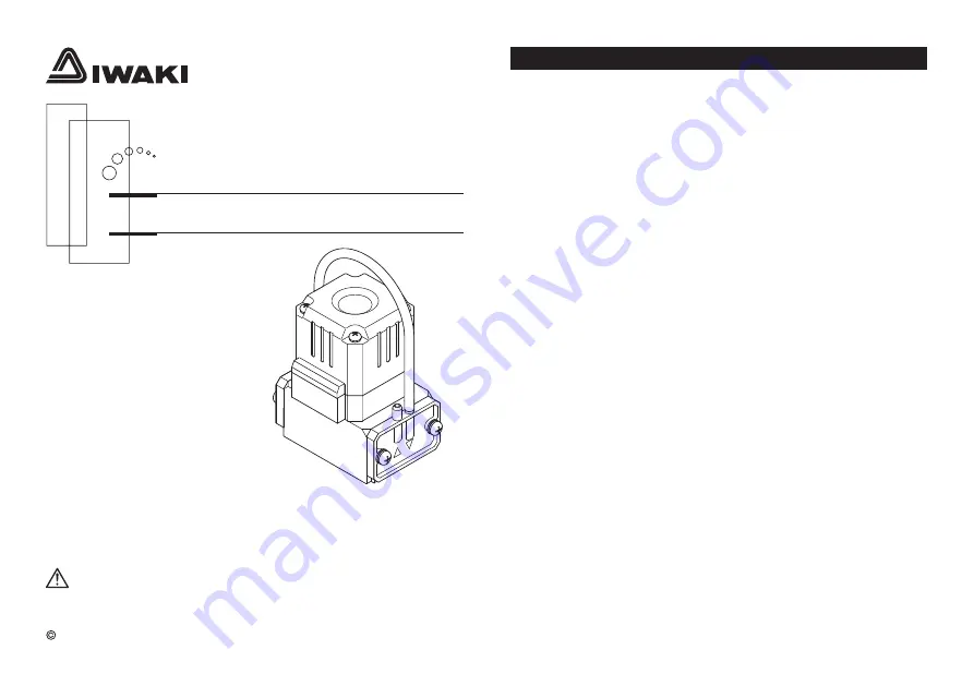 IWAKI APN-S041-D3 Скачать руководство пользователя страница 1