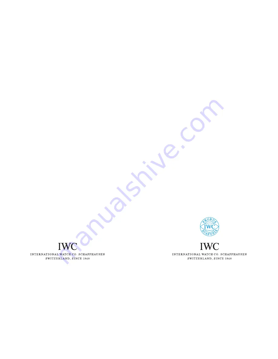 iwc IW3251 Скачать руководство пользователя страница 1