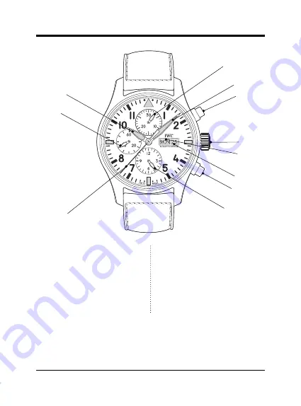 iwc IW377724 Operating Instructions Manual Download Page 7