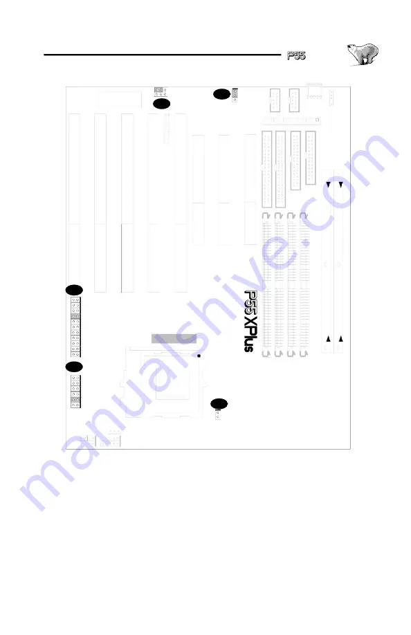 IWILL P55XPLUS Скачать руководство пользователя страница 23