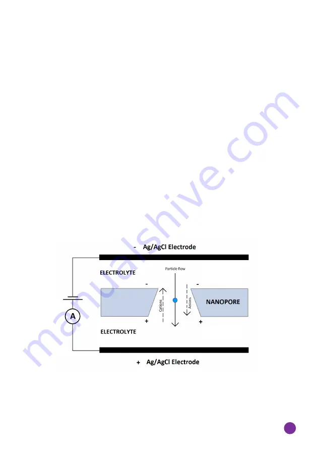 Izon qNano User Manual Download Page 11