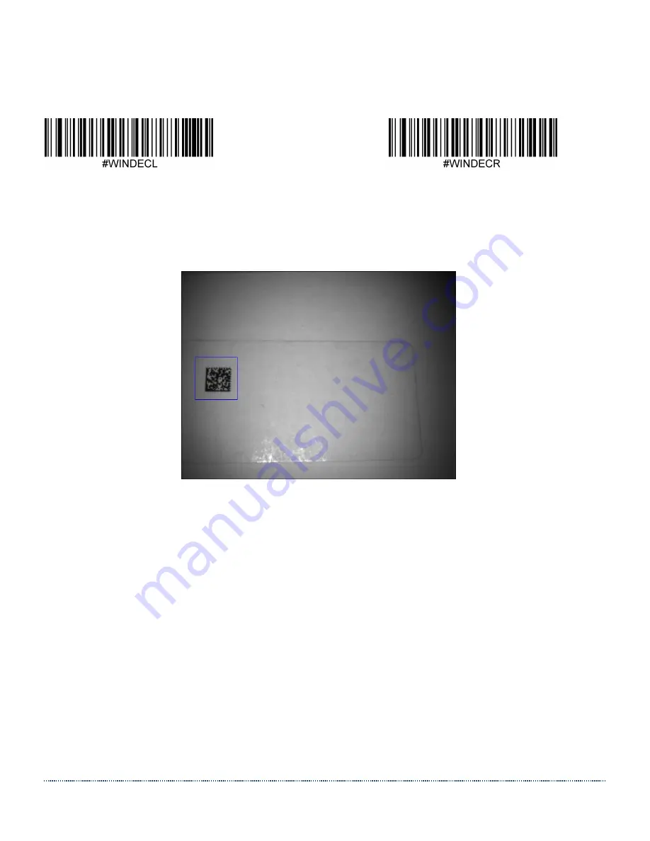 Jadak HS-1RL User Manual Download Page 38