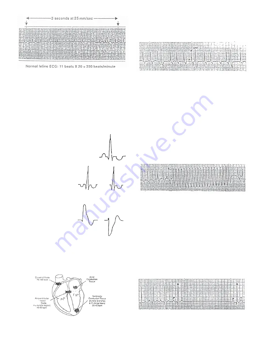 JORGENSEN J1010 Manual Download Page 20