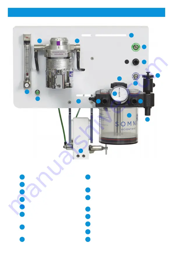 Jorvet J0558X Скачать руководство пользователя страница 6