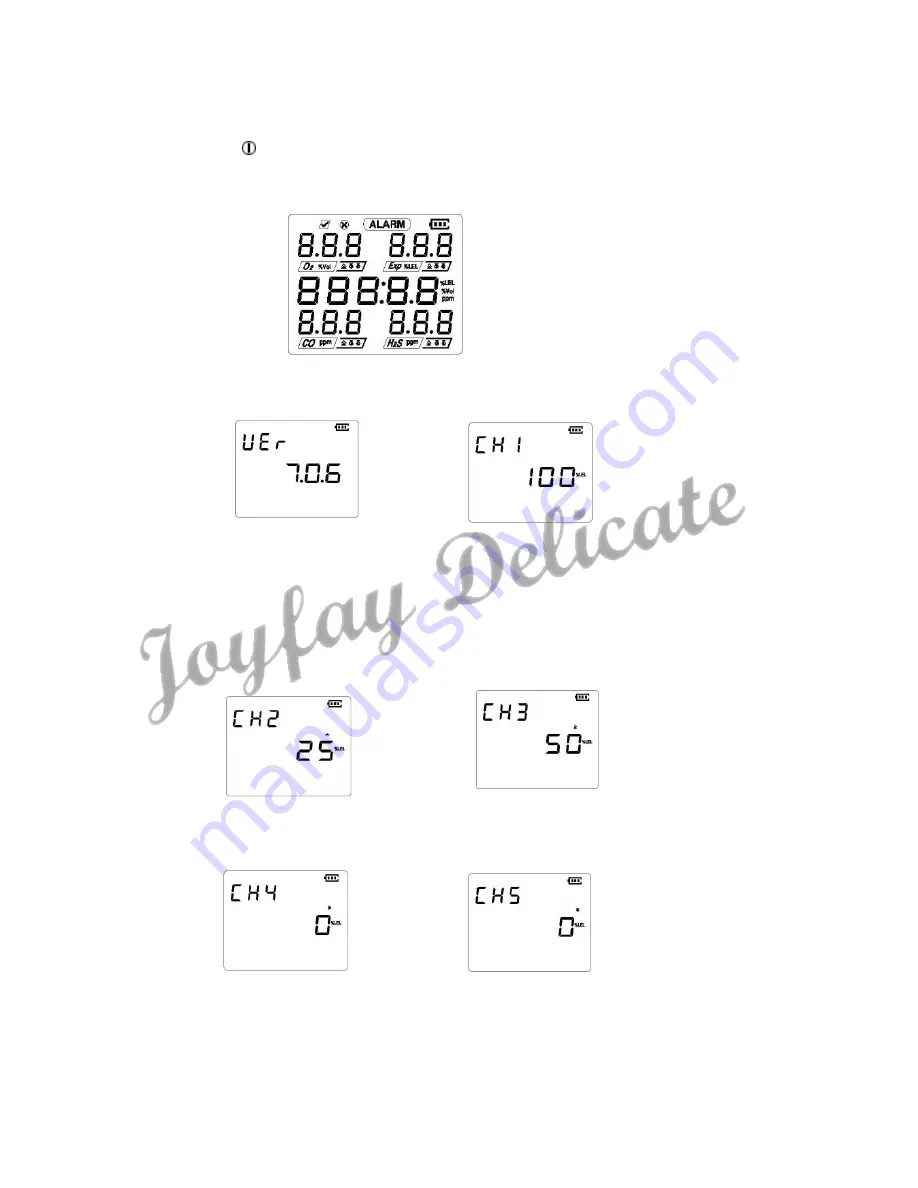 Joyfay Delicate BX80 Скачать руководство пользователя страница 6