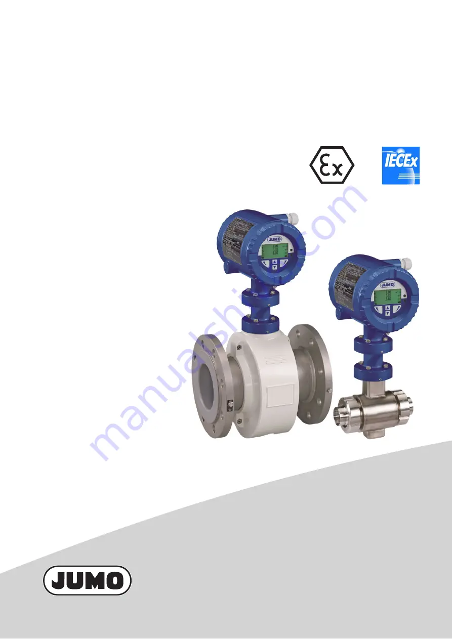 JUMO 406012/1-1 Скачать руководство пользователя страница 1