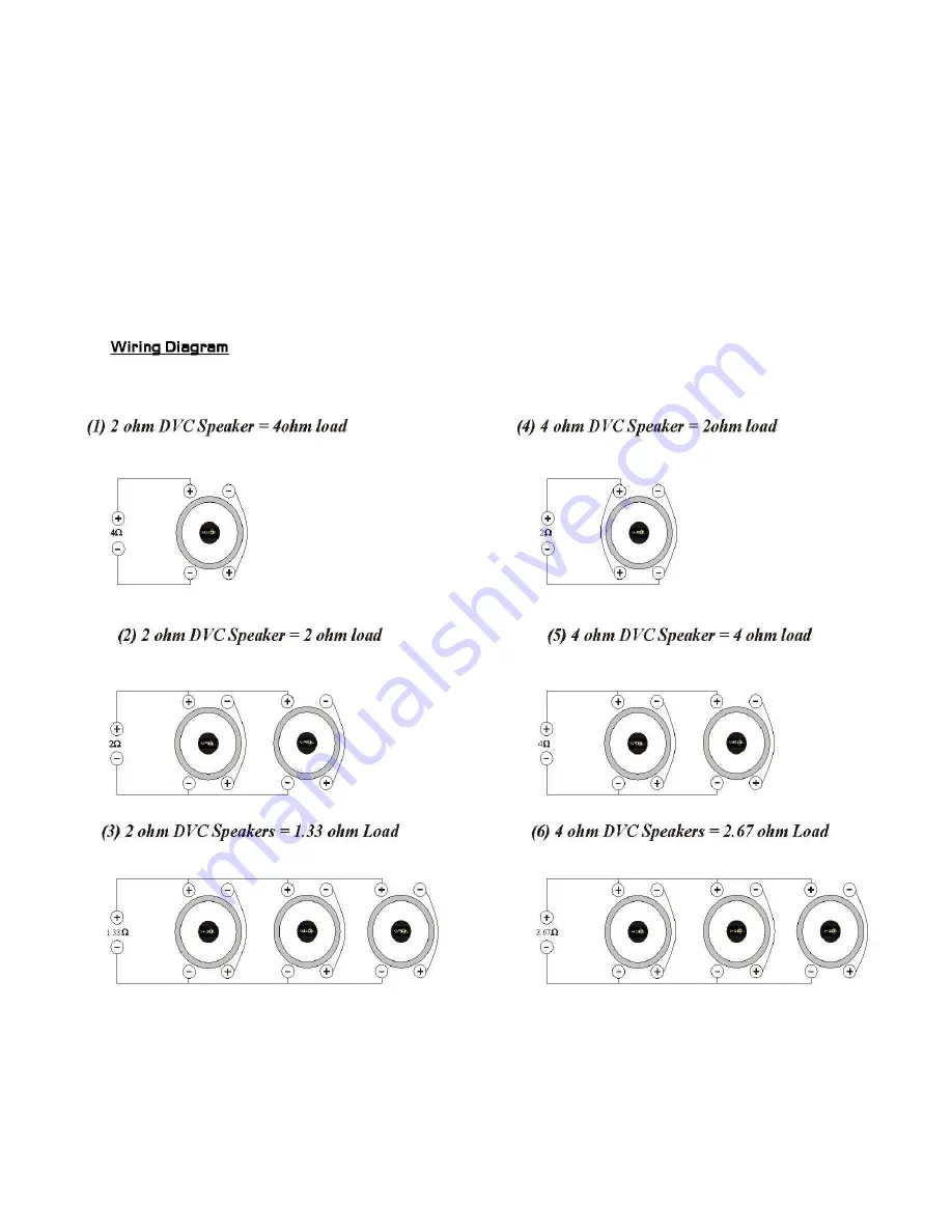 Kaption Audio SPL 1000 Скачать руководство пользователя страница 6