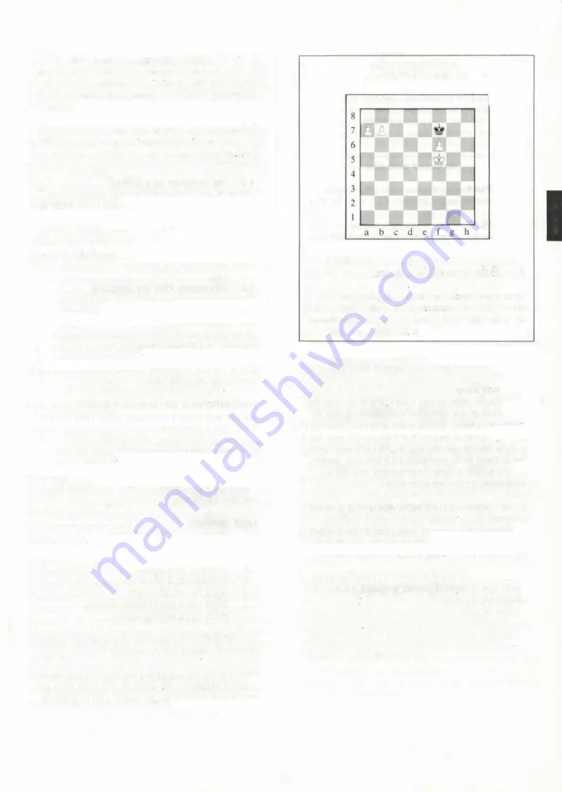 Kasparov CONQUISTADOR Owner'S Manual Download Page 9