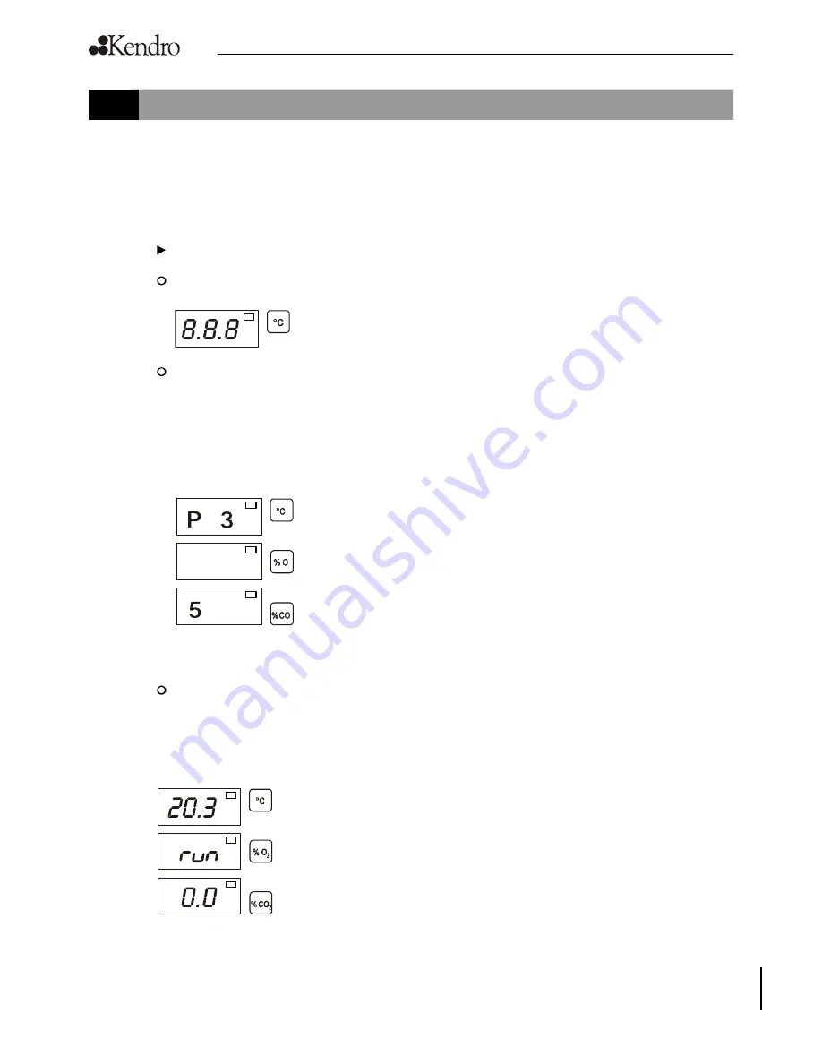 Kendro HERAcell 150 Operating Instructions Manual Download Page 41