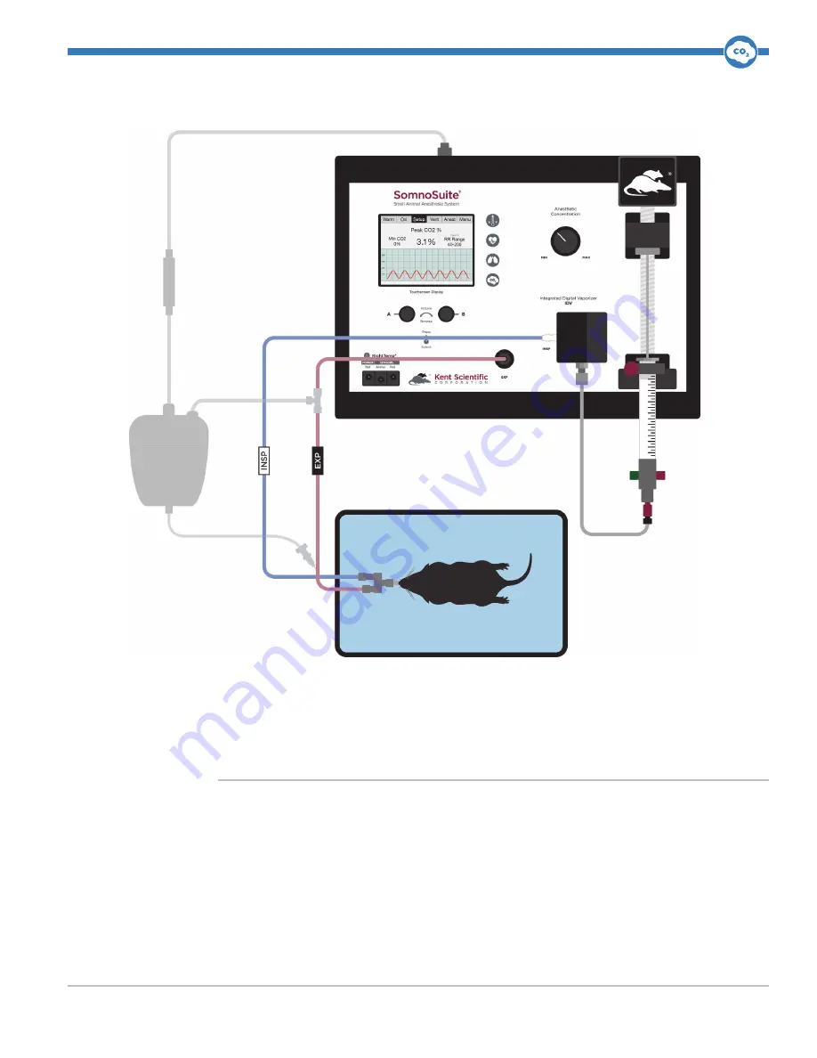 Kent Scientific SomnoSuite User Manual Download Page 36