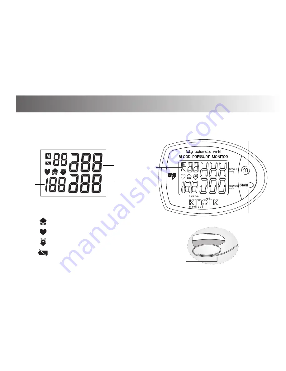 Kinetik BPM2 Series Скачать руководство пользователя страница 4