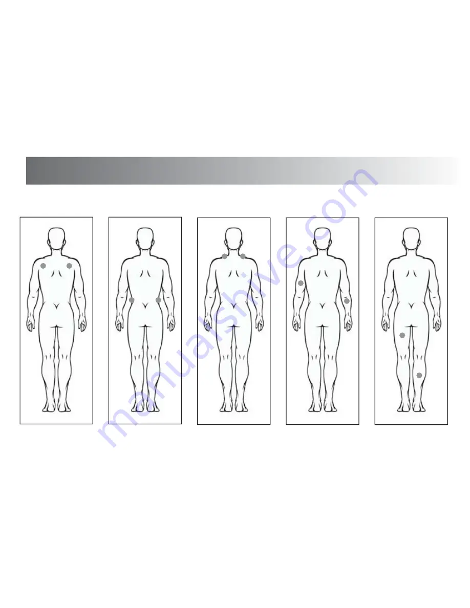 Kinetik WT1 Series User Manual Download Page 15