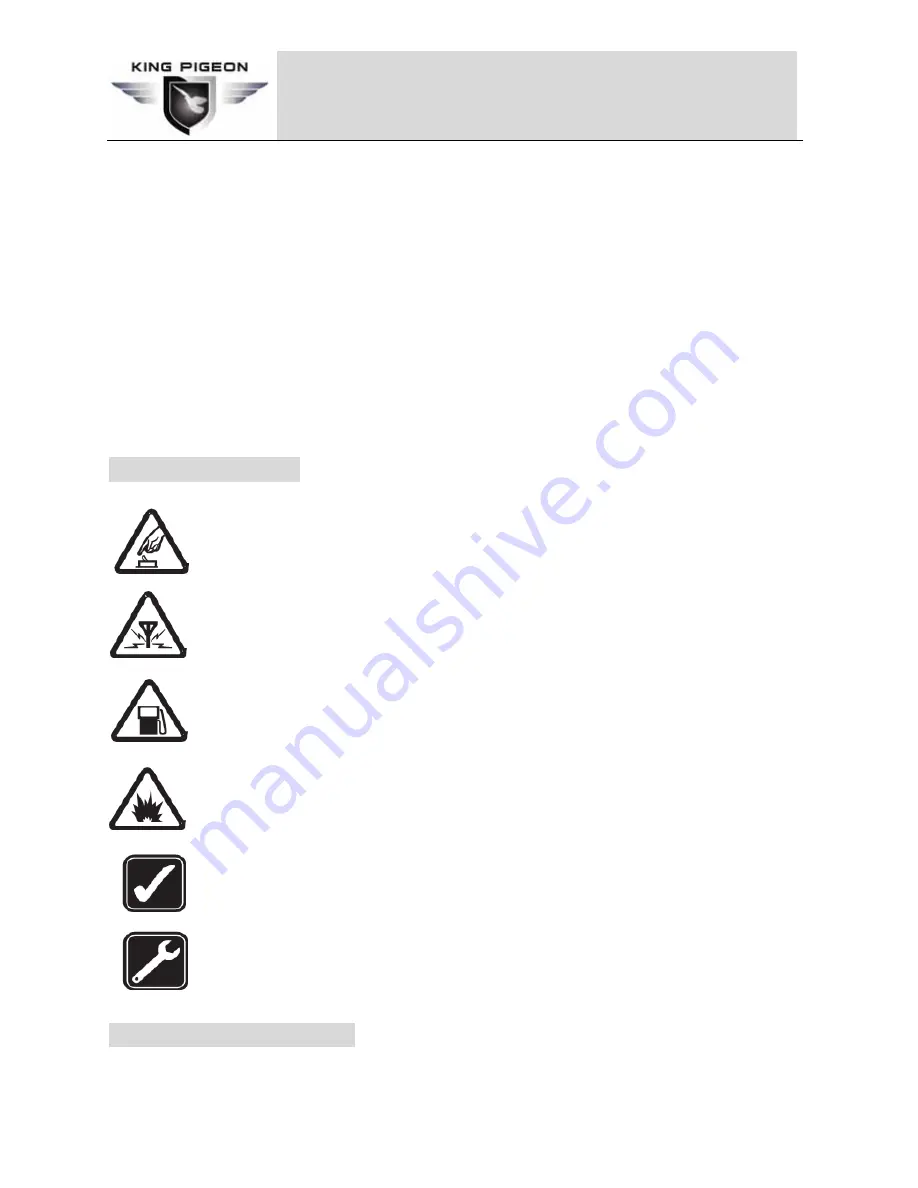 King Pigeon GSM SMS IR CONTROLLER RTU5016 Скачать руководство пользователя страница 4