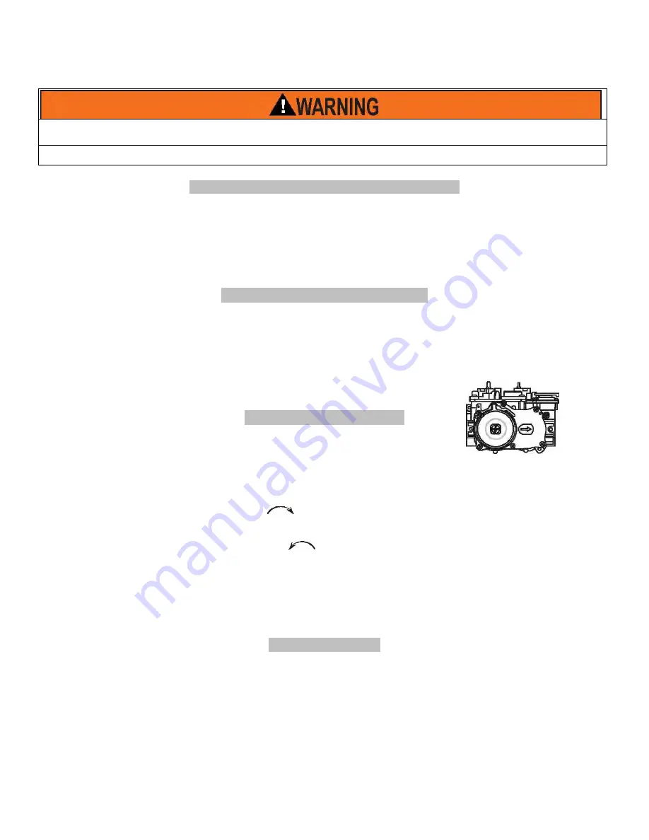 Kingsman Fireplaces FDV451LP Installation Instructions Manual Download Page 51