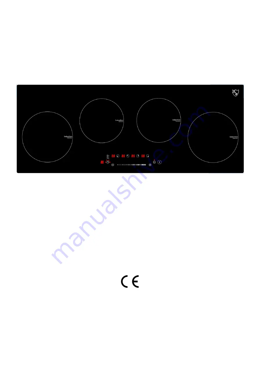 Kitchen and Home S90-IN-6000SL Скачать руководство пользователя страница 11