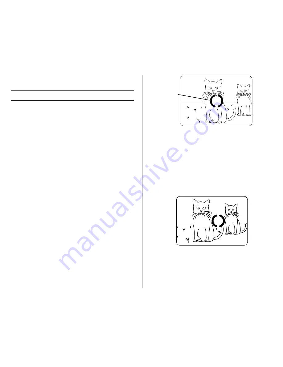 Kodak Advantix C650 Manual Download Page 15