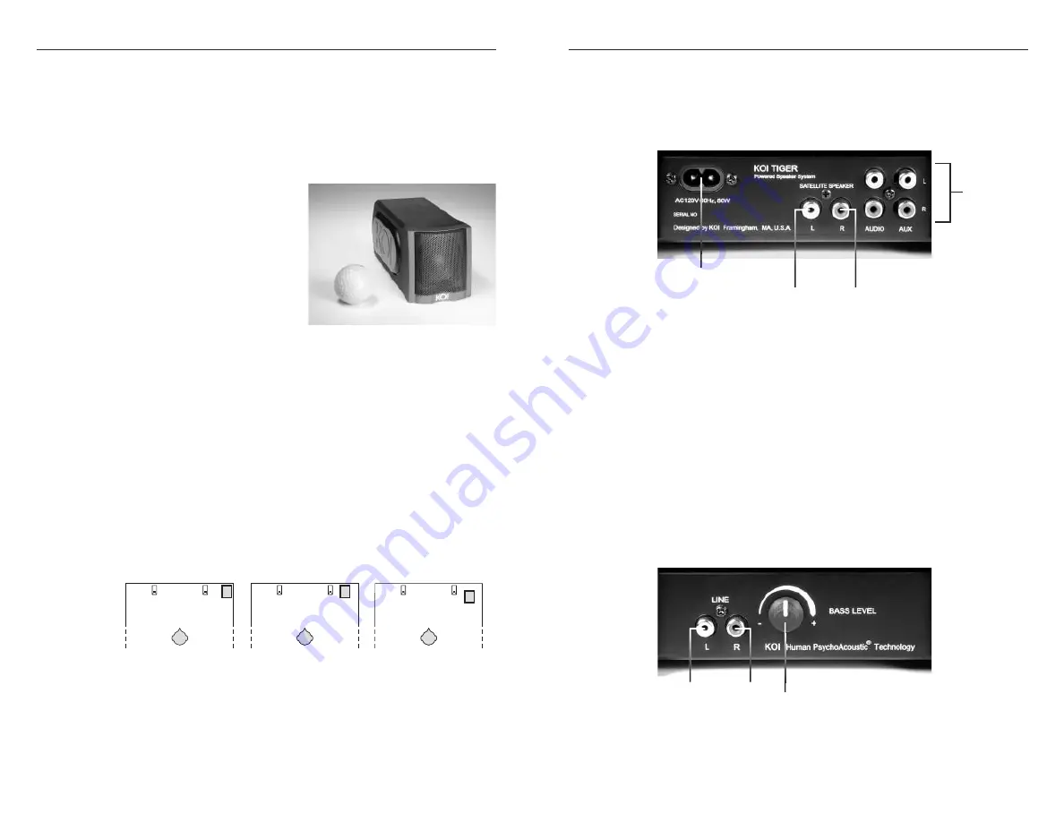 KOI TIGER Professional Powered Mini-Monitor Speaker System Owner'S Manual Download Page 3