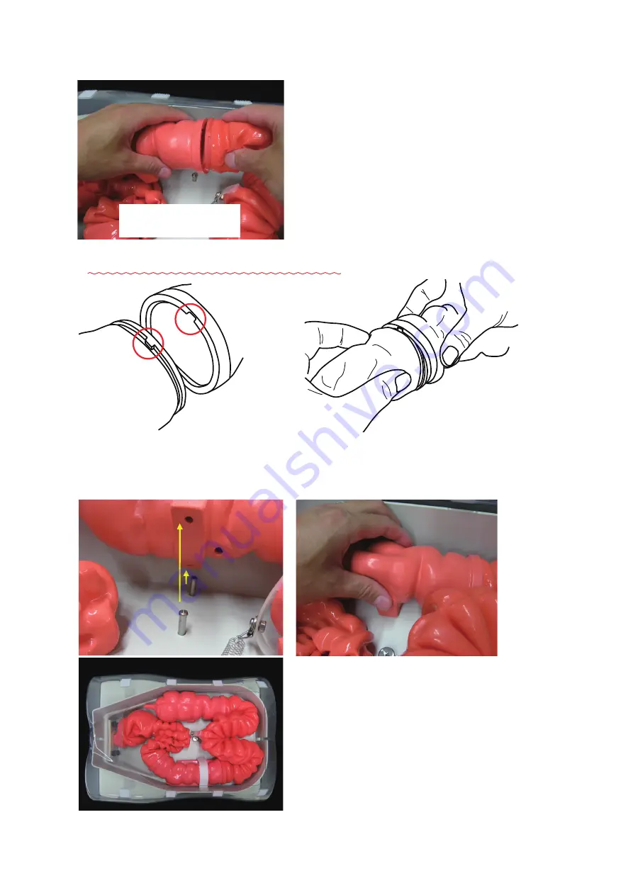 KOKEN Colonoscopy Lower GI Endoscopy Simulator Type II Instruction Manual Download Page 13