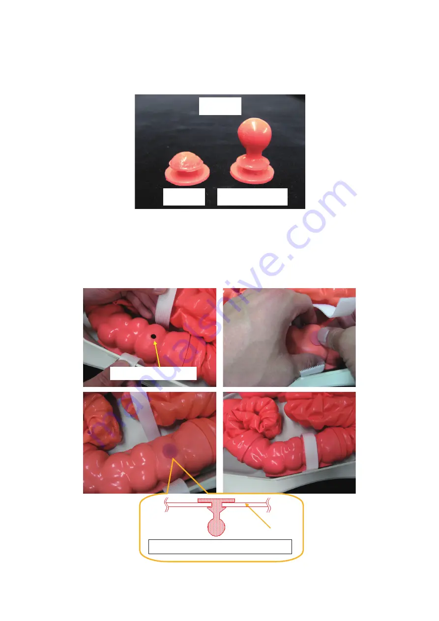 KOKEN Colonoscopy Lower GI Endoscopy Simulator Type II Instruction Manual Download Page 16