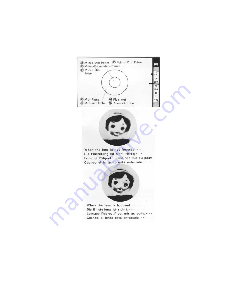 Konica Minolta AUTOREFLEX A Specifications Download Page 13