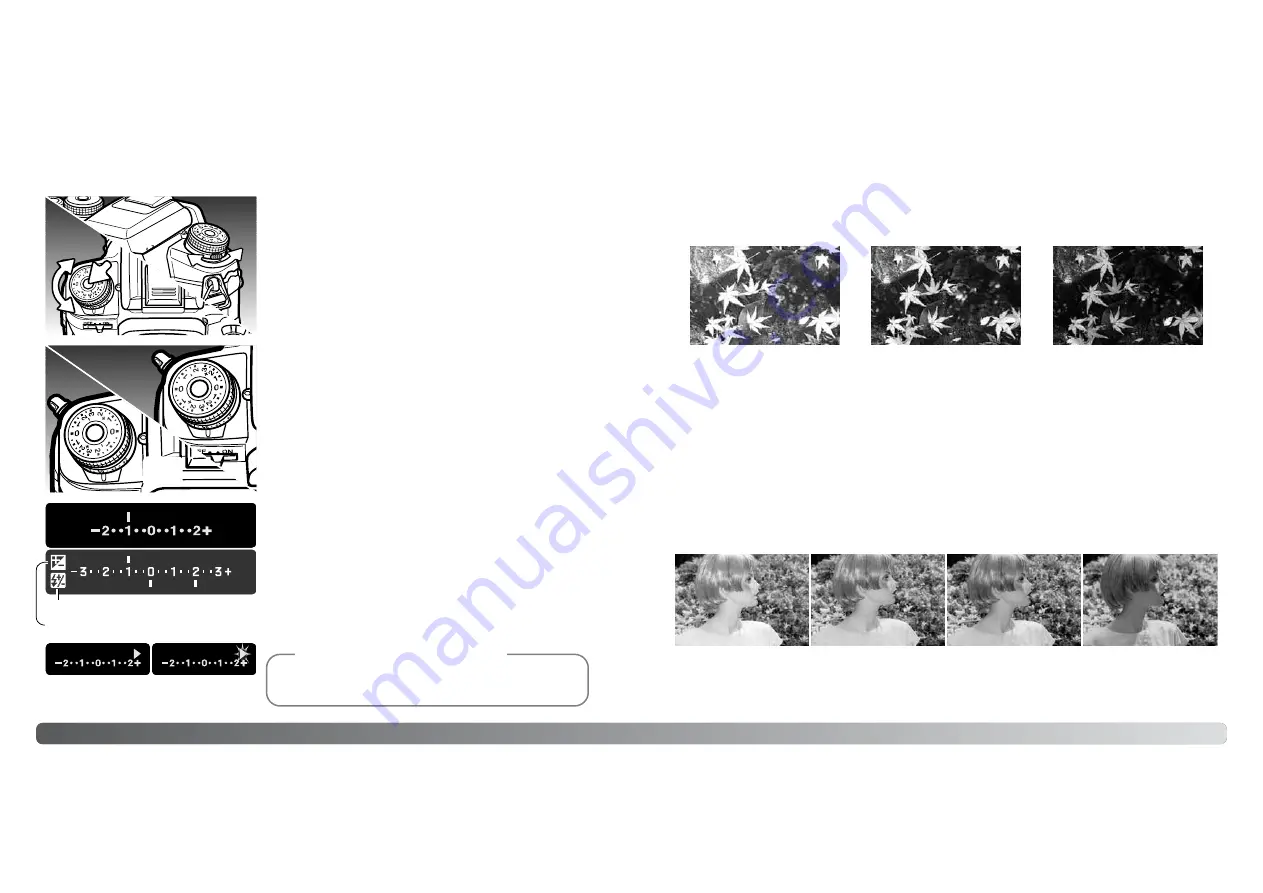 Konica Minolta Dinax 7D (Finnish) Manual Download Page 25