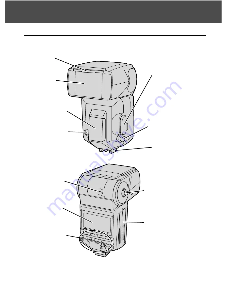 Konica Minolta MAXXUM FLASH 5600HS (D) Instruction Manual Download Page 8