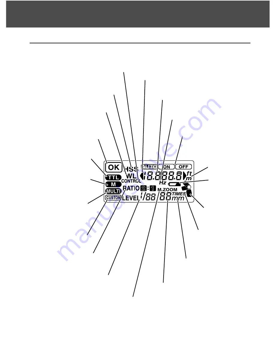 Konica Minolta MAXXUM FLASH 5600HS (D) Instruction Manual Download Page 10